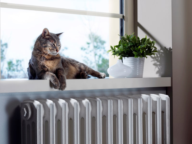 HVAC maintenance for pets